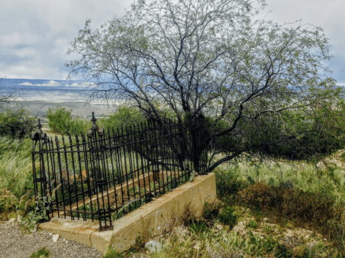 A weathered iron fence surrounds a small, overgrown area with a tree, set against a distant landscape.