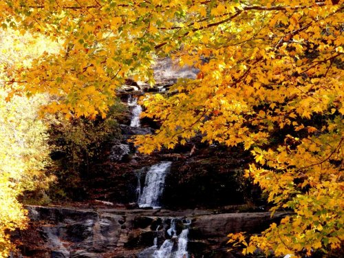 A serene waterfall cascades through rocks, framed by vibrant autumn leaves in shades of orange and yellow.