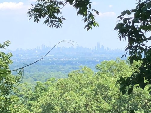 A distant city skyline is visible through green trees on a sunny day, with a clear blue sky above.