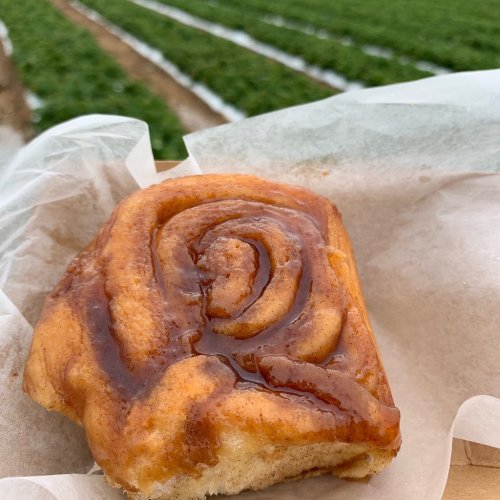 A cinnamon roll with a glossy glaze, resting on parchment paper, with a field of crops in the background.