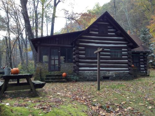 A rustic log cabin surrounded by autumn foliage, with pumpkins on the porch and a picnic table in the foreground.