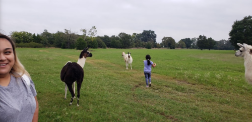 A woman smiles as a child walks towards llamas in a grassy field under a cloudy sky.