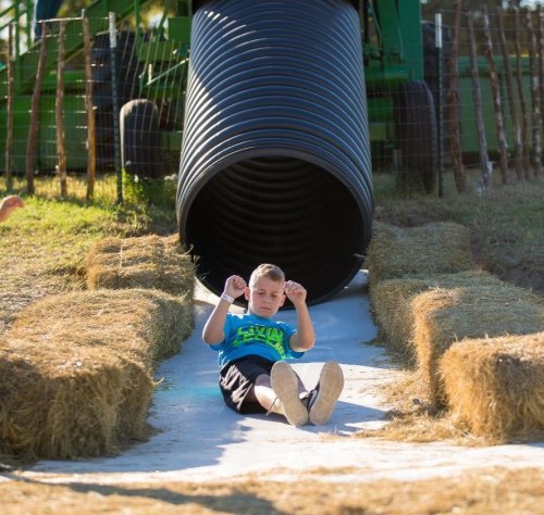 A child in a blue shirt slides down a tube slide surrounded by hay bales on a sunny day.