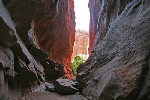 Narrow canyon walls with reddish rock formations, leading to a bright opening and a glimpse of greenery in the distance.