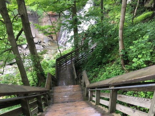 A wooden staircase descends through lush greenery towards a waterfall in a serene forest setting.