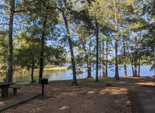A serene lakeside view surrounded by tall trees, with a picnic table and a mailbox in the foreground.