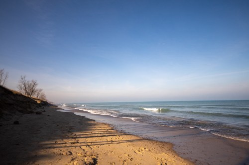 A serene beach scene with gentle waves, sandy shore, and a clear blue sky, framed by sparse trees in the background.