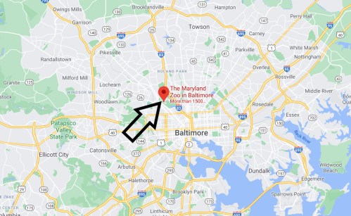 Map showing the location of the Maryland Zoo in Baltimore, marked with a red pin and an arrow pointing to it.