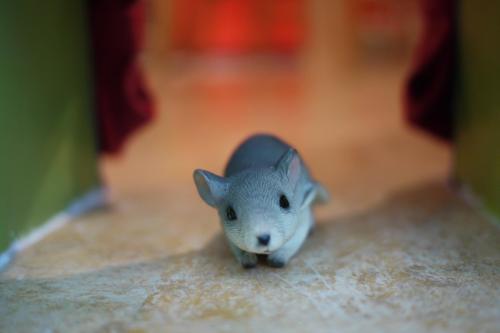 A small gray toy mouse on a textured surface, with a blurred background of colorful curtains.