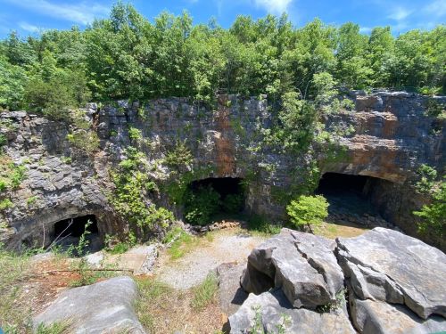Two large cave openings in a rocky cliff, surrounded by lush green trees and a clear blue sky.