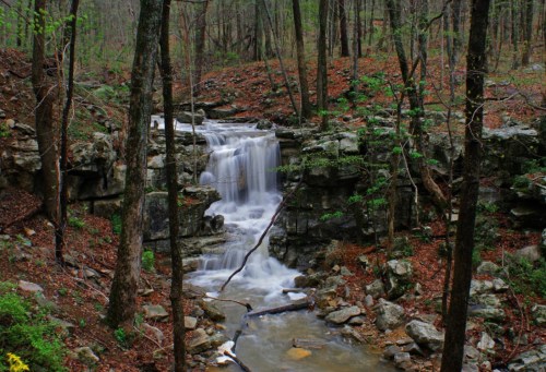 A serene waterfall cascades over rocks in a lush, green forest surrounded by trees and fallen leaves.