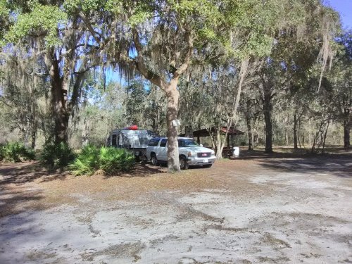 A camper and truck parked under trees in a wooded area with Spanish moss and scattered vegetation.