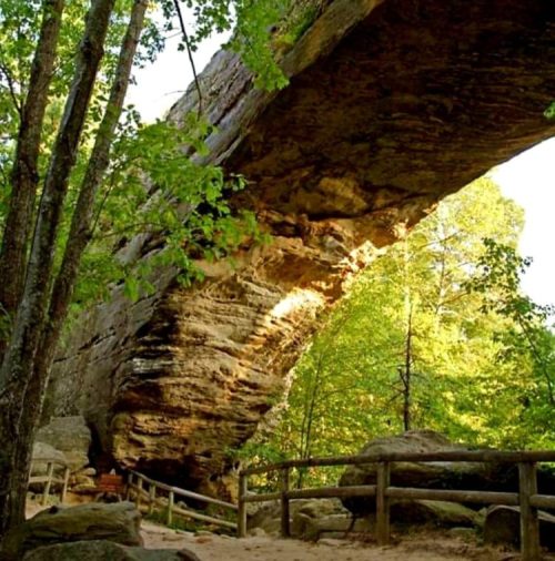 A natural stone arch surrounded by trees, with a sandy path and wooden railing in a serene outdoor setting.