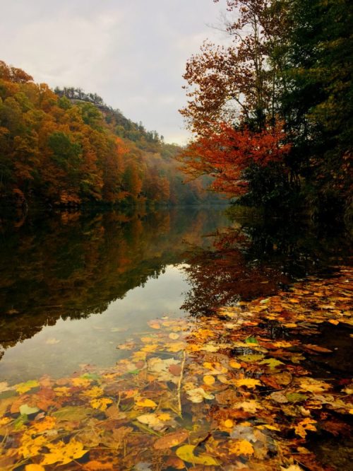 A serene river scene with autumn foliage reflecting on the water, surrounded by colorful trees and a misty atmosphere.