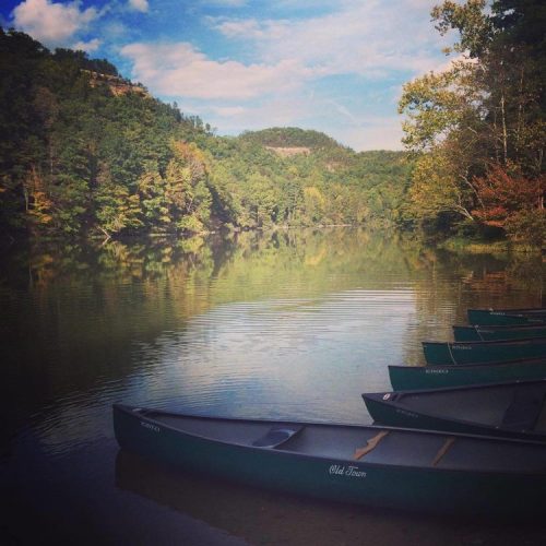 A serene river scene with green canoes lined up, surrounded by lush trees and a clear blue sky.