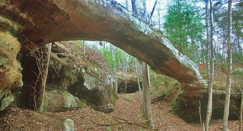 A natural stone arch bridge surrounded by trees and rocky terrain in a forested area.