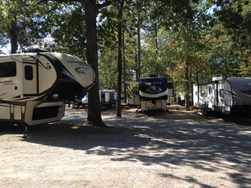 A campsite with several RVs parked among trees, surrounded by gravel and natural scenery.