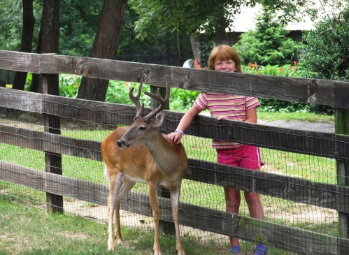 A young girl smiles while petting a deer through a wooden fence in a green outdoor setting.