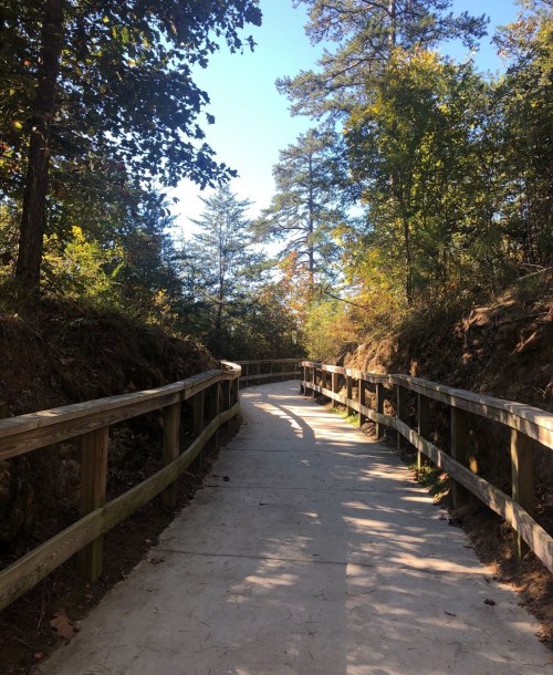 A winding path through a wooded area, bordered by wooden railings, under a clear blue sky.