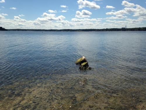 A calm lake scene with clear water, a rocky outcrop, and fluffy clouds in a blue sky.