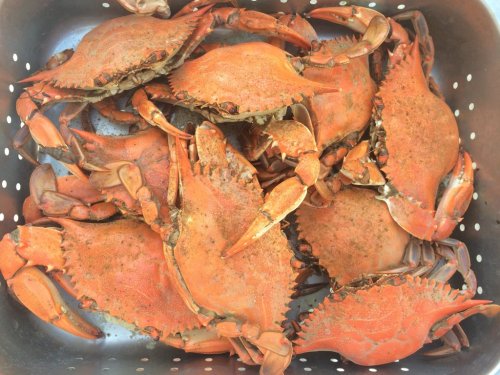 A metal basket filled with cooked, orange crabs, showcasing their shells and claws.