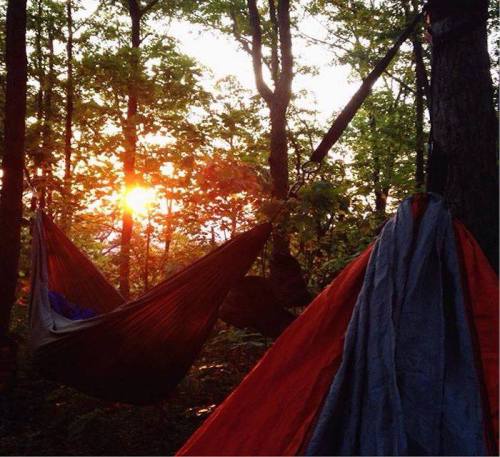 Two hammocks hang between trees at sunset, with warm light filtering through the leaves in a serene forest setting.