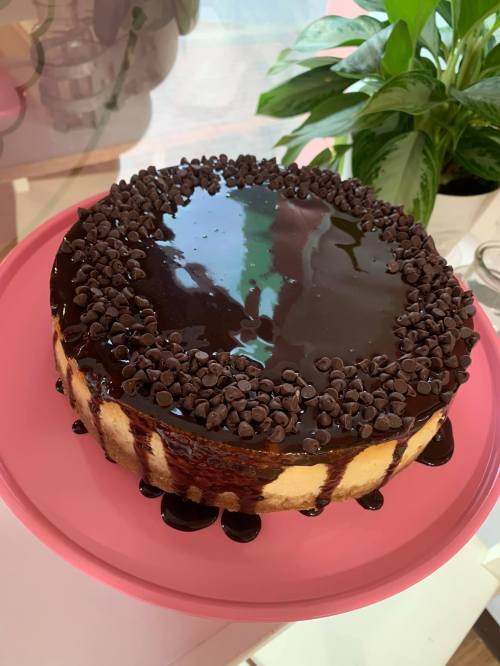 A round chocolate cake topped with chocolate ganache and chocolate chips, displayed on a pink plate.
