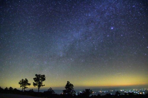 A starry night sky with the Milky Way visible above a silhouette of trees and distant city lights.