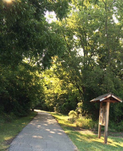 A sunlit path through lush greenery, with a wooden signpost on the side, inviting exploration.