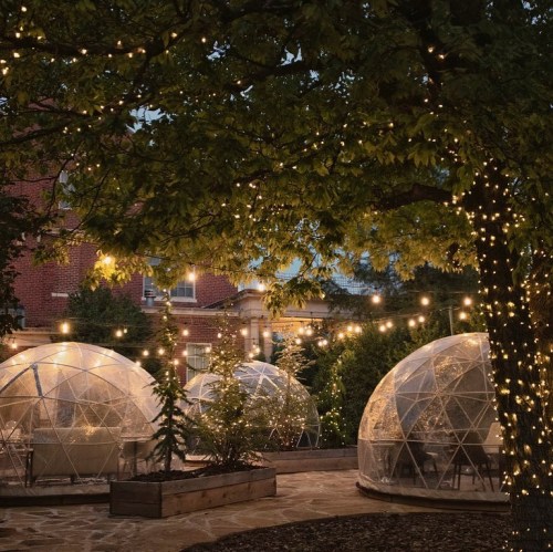 Cozy outdoor dining area with transparent domes, string lights, and lush greenery at dusk.