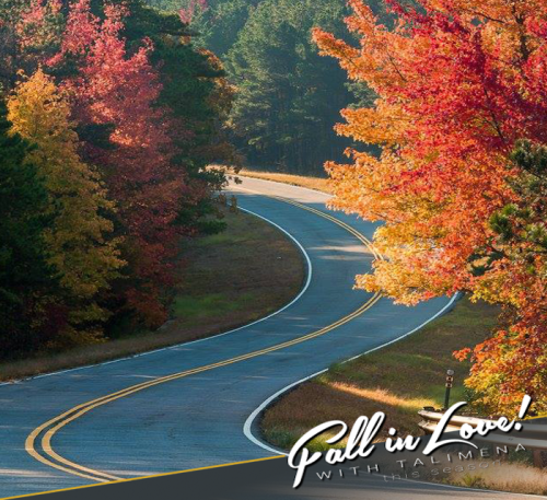 Curving road surrounded by vibrant autumn foliage in Talimena, inviting viewers to enjoy the fall season.