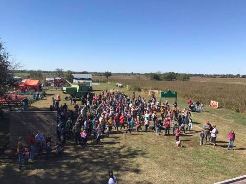 A large crowd gathers outdoors at a farm event, with fields and blue sky in the background.
