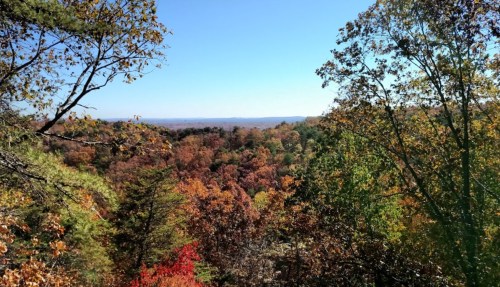 A scenic view of a colorful autumn forest under a clear blue sky, showcasing vibrant fall foliage.