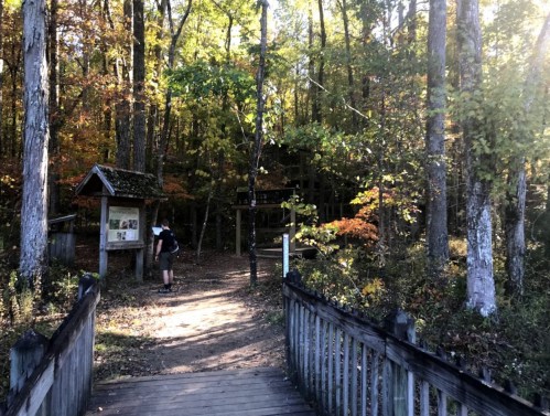 A person stands near a trailhead sign in a colorful autumn forest, with trees and sunlight filtering through the leaves.