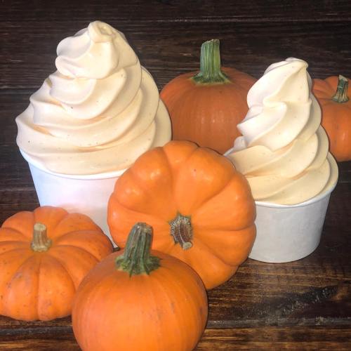 Two cups of pumpkin-flavored soft serve ice cream surrounded by small pumpkins on a wooden surface.