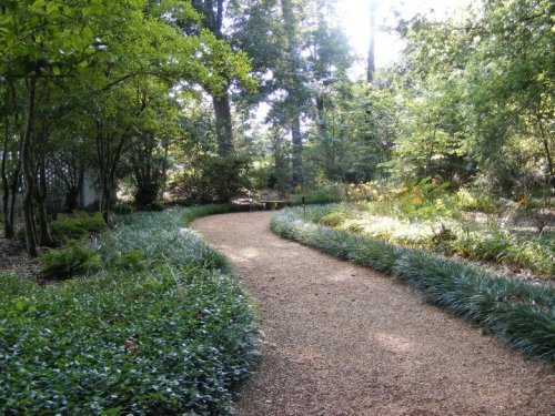 A winding gravel path through a lush green garden, surrounded by trees and vibrant plants.