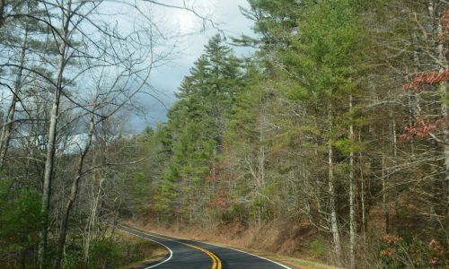 A winding road through a forest with tall trees and a mix of green and bare branches, under a cloudy sky.