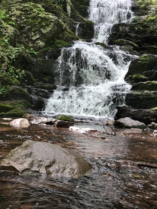 A serene waterfall cascading over mossy rocks into a clear stream, surrounded by lush greenery.