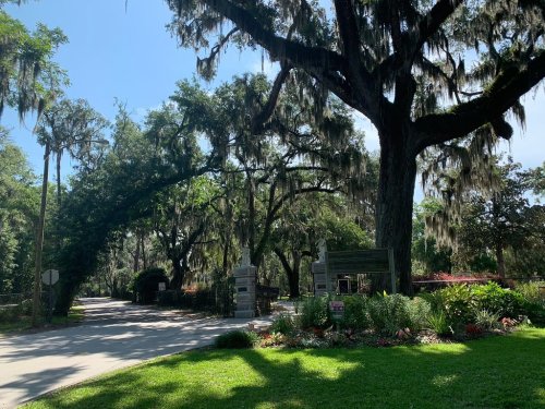 A scenic view of a tree-lined road with Spanish moss hanging from large trees and colorful flowers along the path.