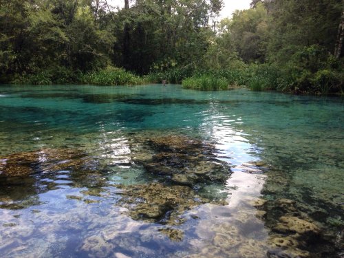 A serene, clear blue pond surrounded by lush greenery and trees, with visible rocks beneath the water's surface.
