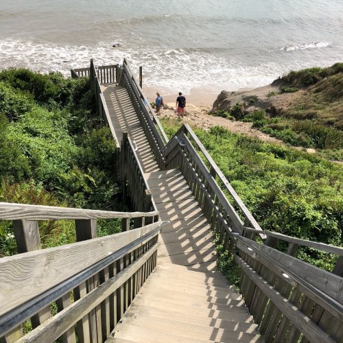 A wooden staircase leads down to a beach, surrounded by greenery and overlooking the ocean. Two people walk below.