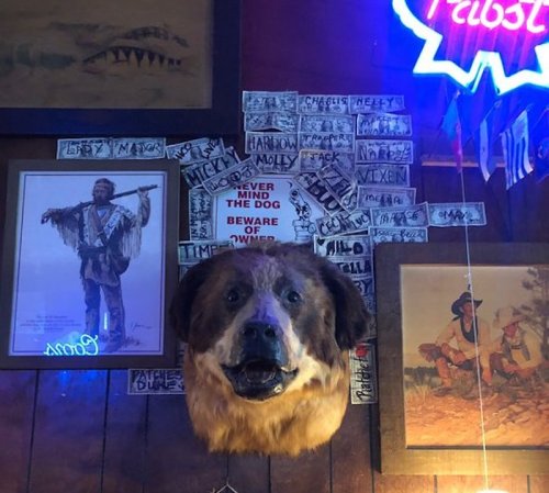 A mounted dog head on a wooden wall, surrounded by framed pictures and a neon sign, with a warning sign about the dog.