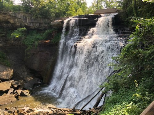 A cascading waterfall surrounded by lush greenery and rocky terrain, with sunlight filtering through the trees.