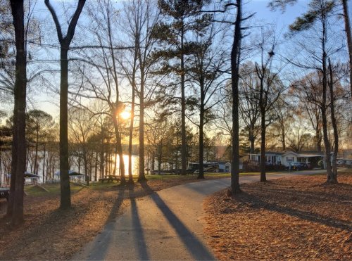 A serene lakeside scene at sunset, with trees lining a winding path and reflections on the water.
