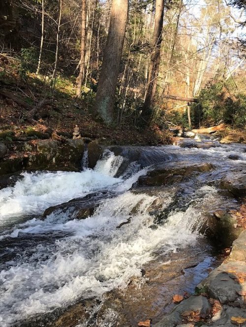 A serene stream flows over rocks, surrounded by trees and autumn foliage in a peaceful forest setting.