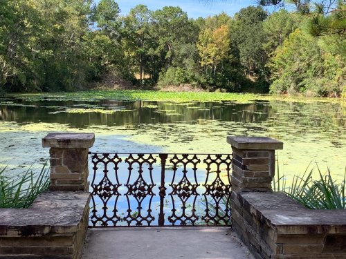 A decorative iron gate opens to a serene pond surrounded by lush greenery and lily pads under a clear blue sky.