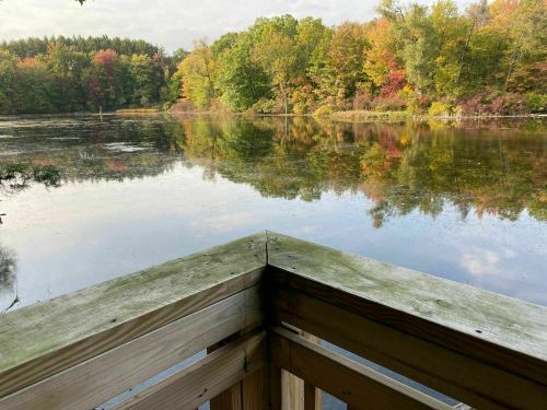 A serene lake surrounded by colorful autumn trees, viewed from a wooden dock.