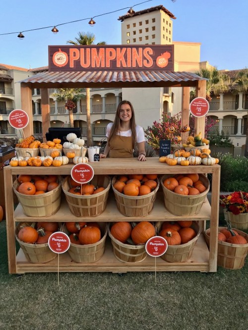 A smiling woman stands behind a wooden pumpkin stand filled with various pumpkins and gourds, set in a festive outdoor setting.