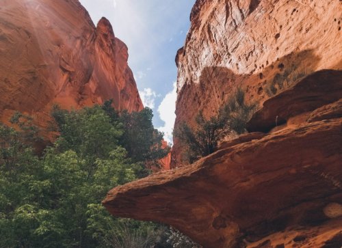 A narrow canyon with towering red rock walls and green vegetation, under a bright blue sky with scattered clouds.