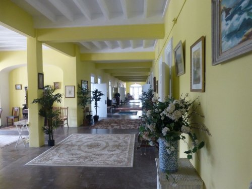 A bright yellow hallway with plants, artwork, and rugs, leading to an open space at the end.